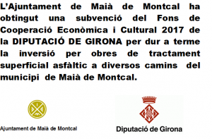 Subv. Fons Cooperacio economica Dip Girona